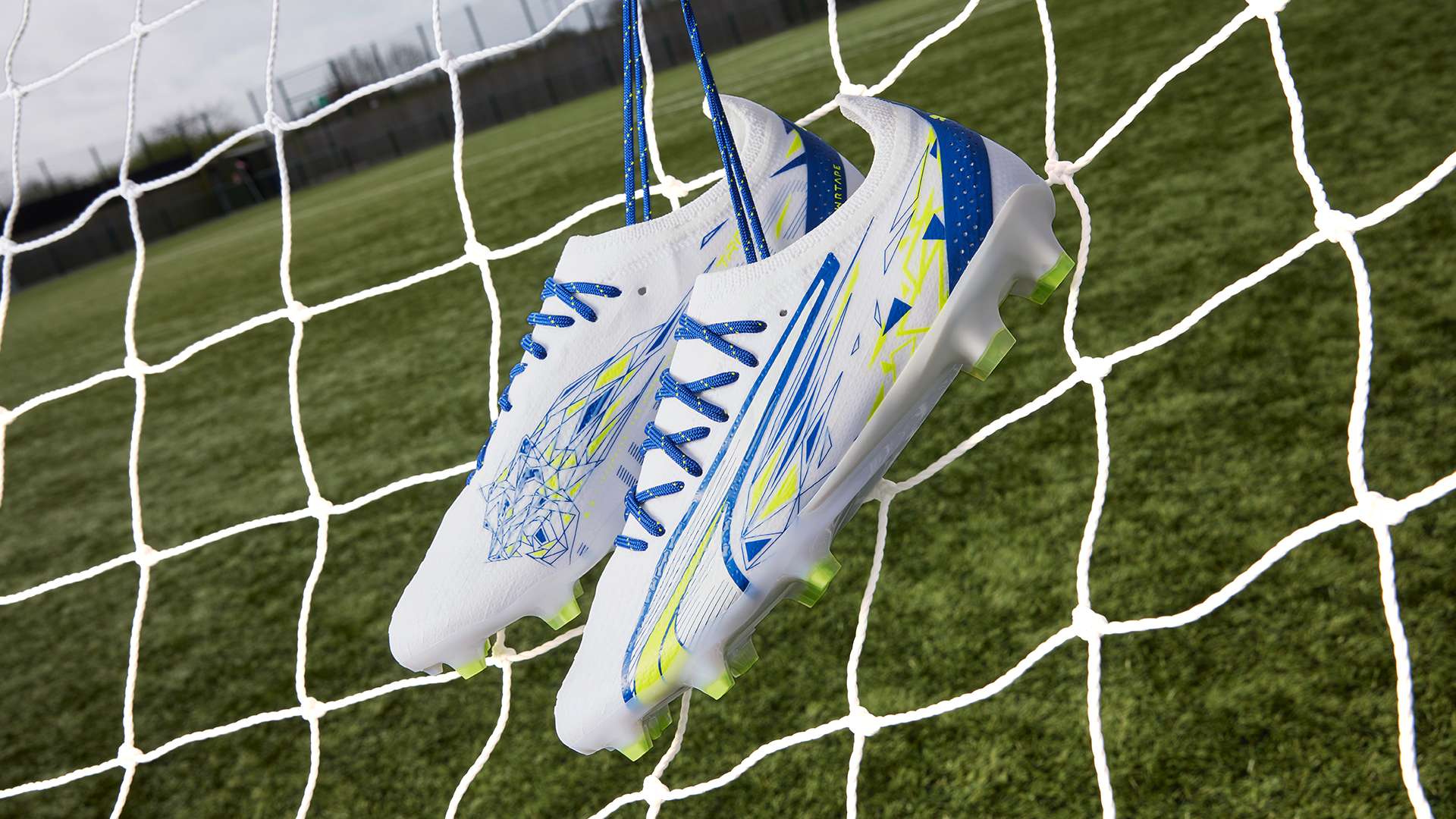 洲的崛起 洲的崛起